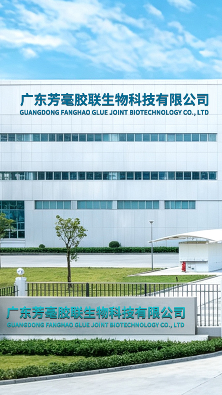 Private label cosmetic factory for startup beauty brands